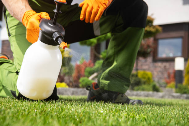 Professional Pest Control in Williston, FL