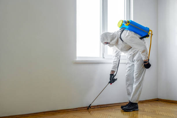 Best Pest Control Near Me  in Williston, FL