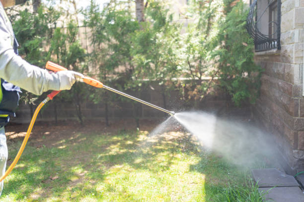Best Pest Removal Services  in Williston, FL
