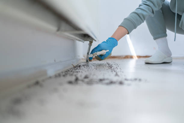 Best Affordable Pest Control Services  in Williston, FL