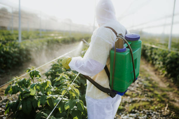 Best Exterminator Services  in Williston, FL